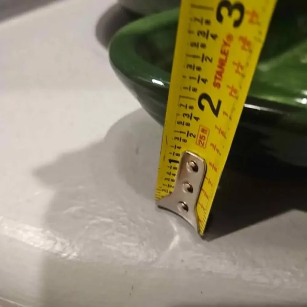 Ceramic Green Cactus Chip and Dip Tray 10/5